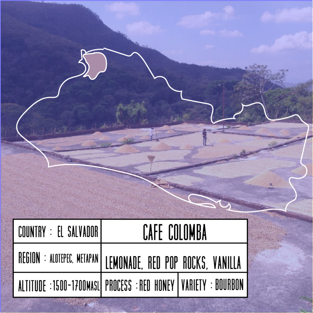 Cafecolomba (1000x1000), Png Download