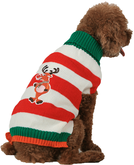 Christmas Sweater Pattern Png (800x800), Png Download