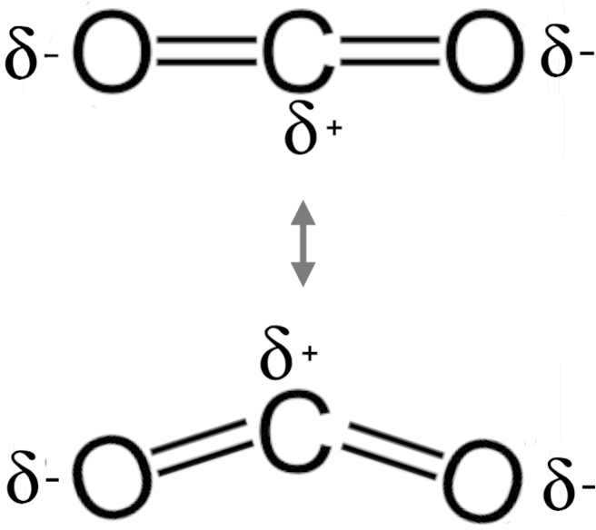 Co2 Dipole (661x600), Png Download