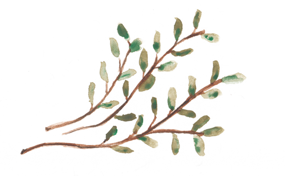 However, With God Being The Third Twig That Stands (1000x618), Png Download