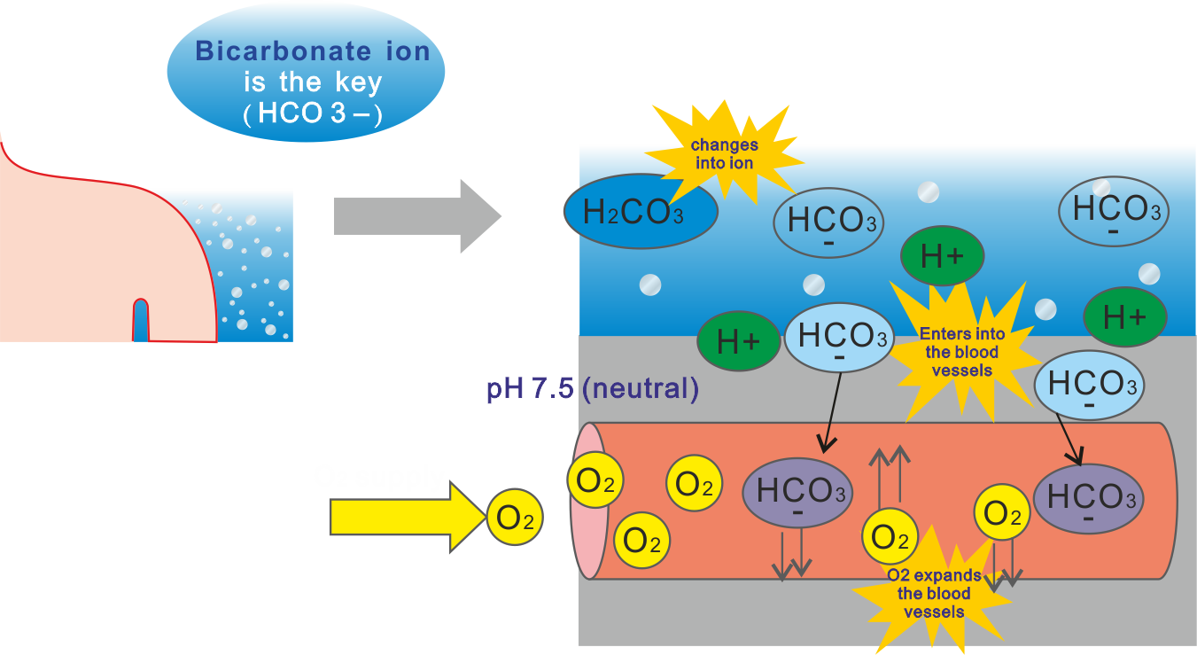 Co2-5 (1351x739), Png Download
