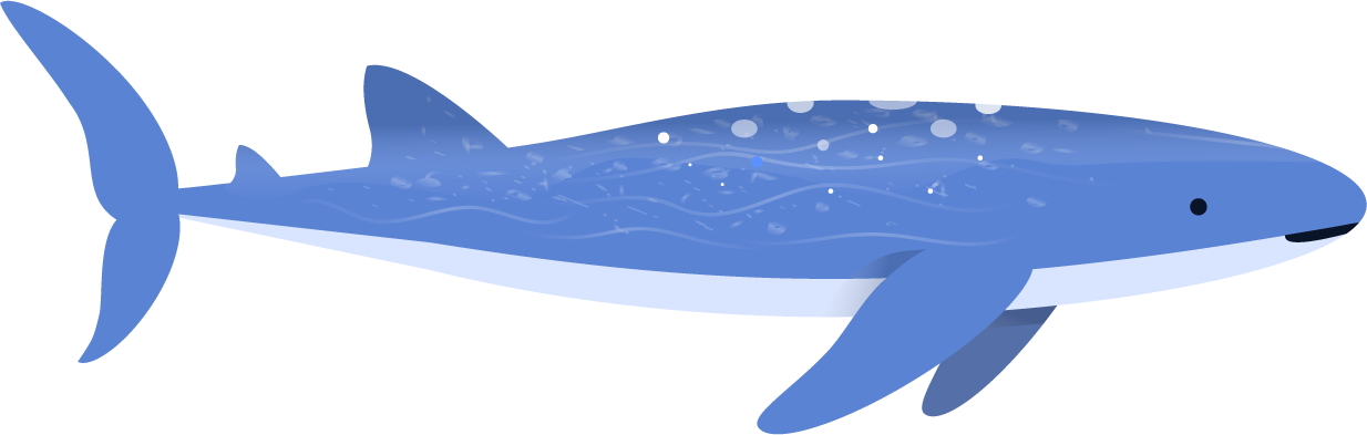 Shark (1234x393), Png Download