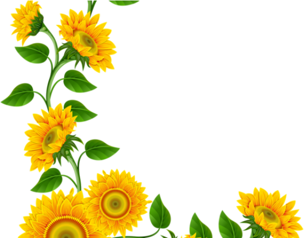 Daisy Clipart Corner Border (640x480), Png Download