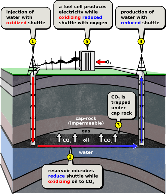 As Shown By The Well-known Problem Of Reservoir Souring, (553x648), Png Download