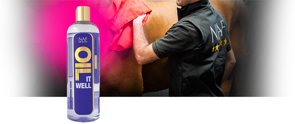 High Quality Oil To Highlight Your Horse's Best Points (1000x423), Png Download