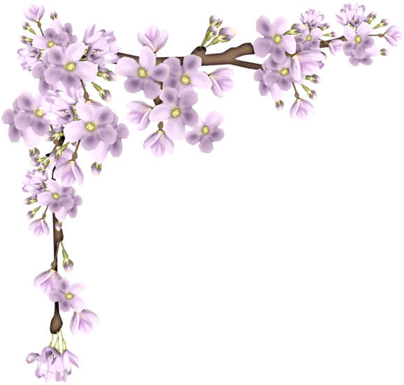 Pink Branch Png Picture Card Ideas Accessories (600x578), Png Download