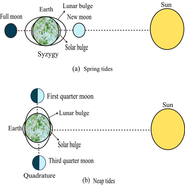 Picture (590x590), Png Download