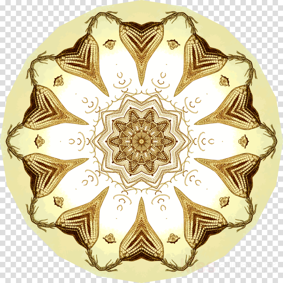 Doilies Png (900x900), Png Download