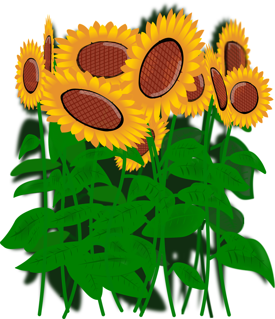 Słoneczniki, Kwiaty, Natura (622x720), Png Download