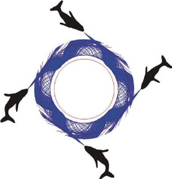 Four Whales Insonify An Annular Bubble Net Having The (651x615), Png Download
