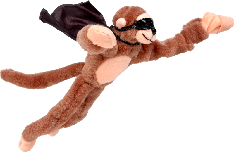 Flying Monkey (800x520), Png Download