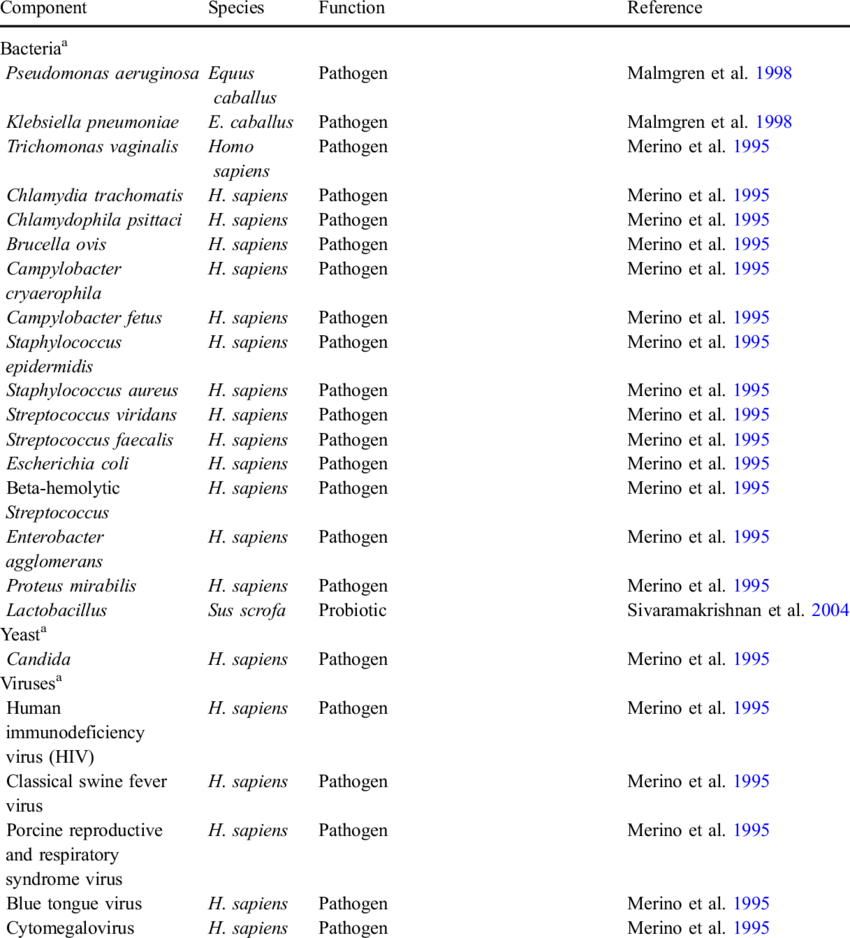 Seminal Fluid Components And Their Function In Mammals (850x938), Png Download