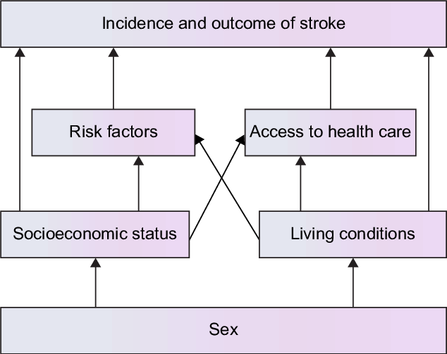 Socioeconomic Mechanism Underlying Sex Differences (634x503), Png Download