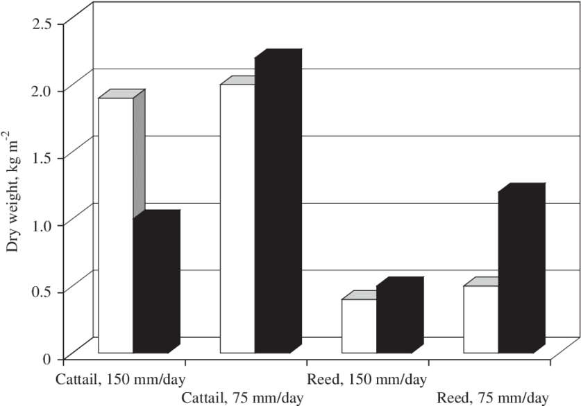 Comparison Between Biomass Yields For Cattail And Reed (850x593), Png Download