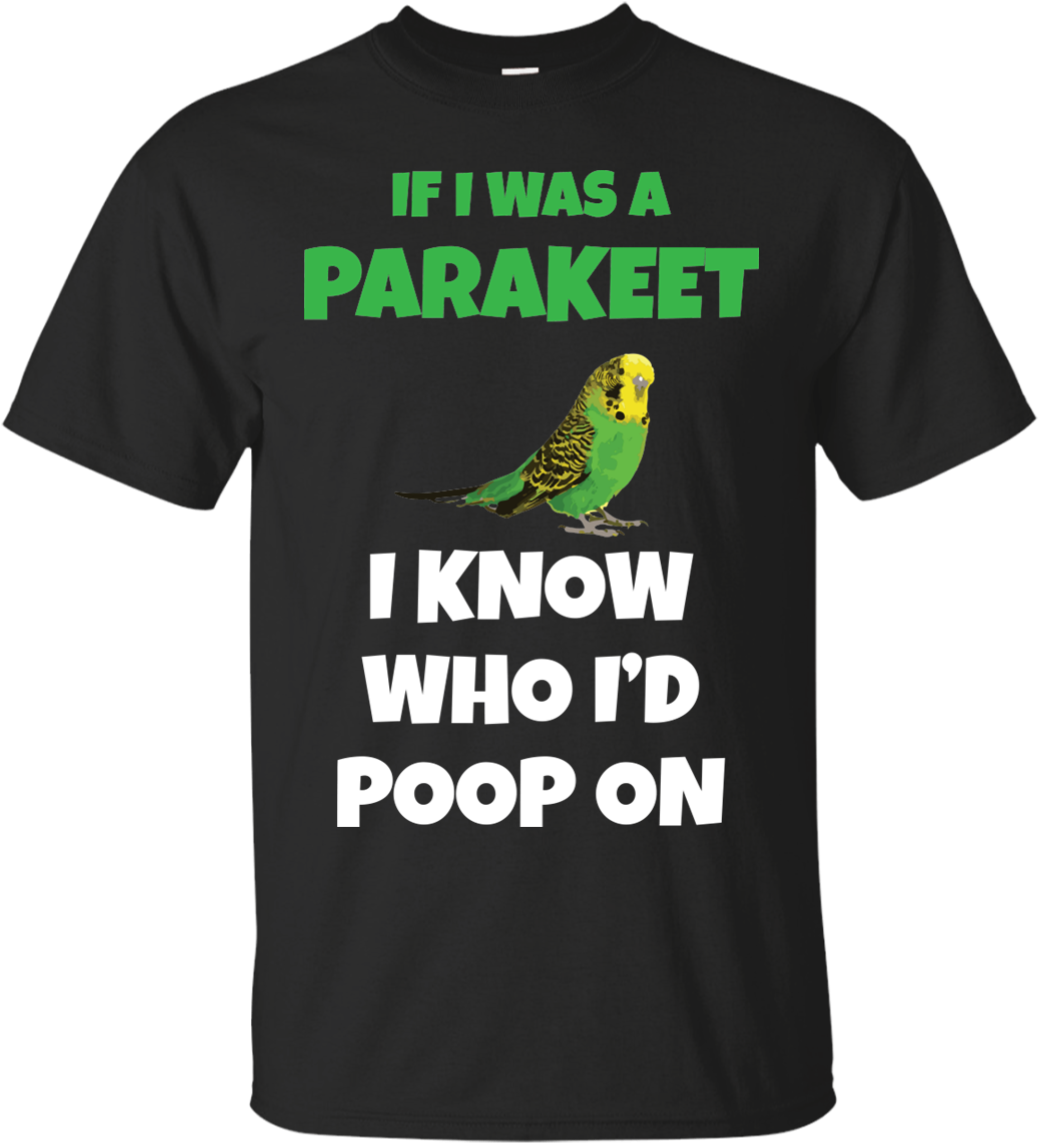 Parakeets (1155x1155), Png Download