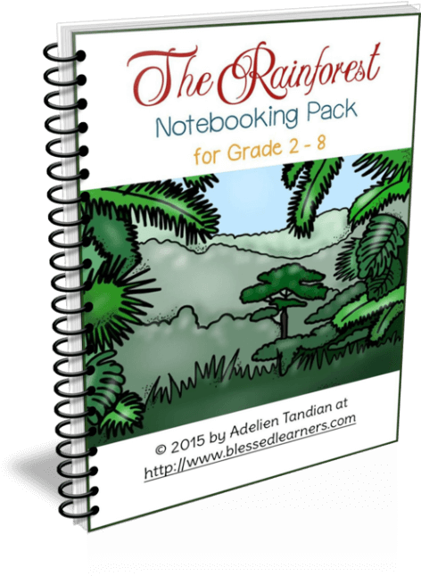 Rainforest Notebooking Pack (800x657), Png Download