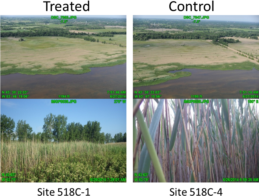 Vegetation Methodology2 (841x807), Png Download