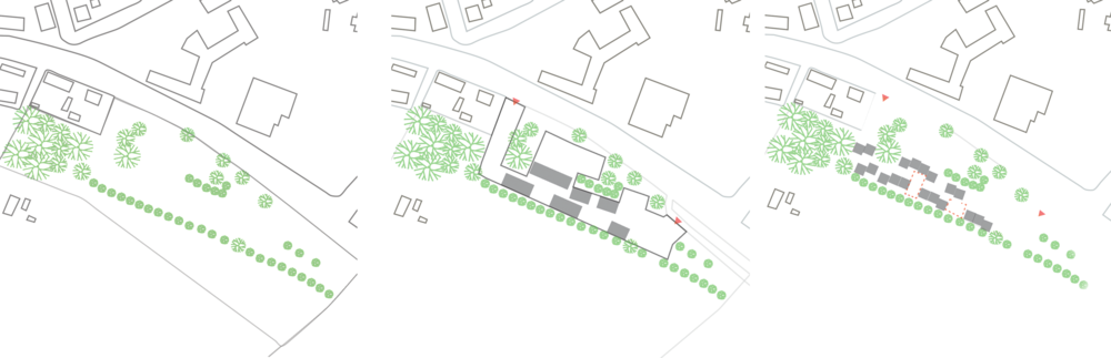 Site-vegetation (1000x323), Png Download