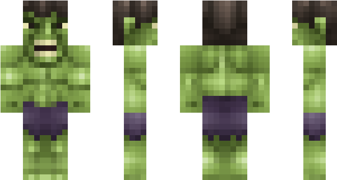 Tiny Turtle Minecraft Head (750x442), Png Download