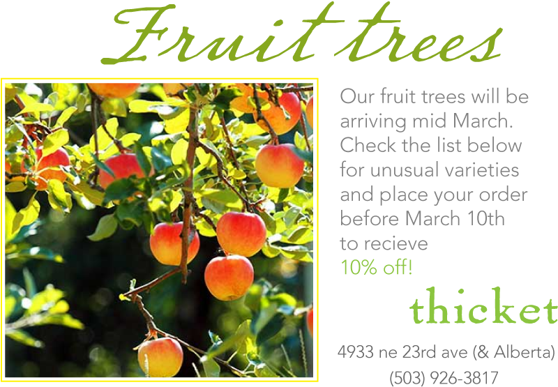 We Are Doing Our Spring Order For Fruit Trees - Forging Freedom: Black Women And The Pursuit (800x563), Png Download