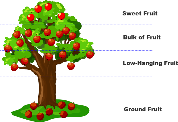 Apple Tree - Lean Low Hanging Fruit (600x411), Png Download