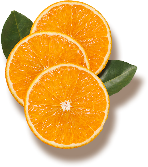 Florida's Natural Resources (519x588), Png Download