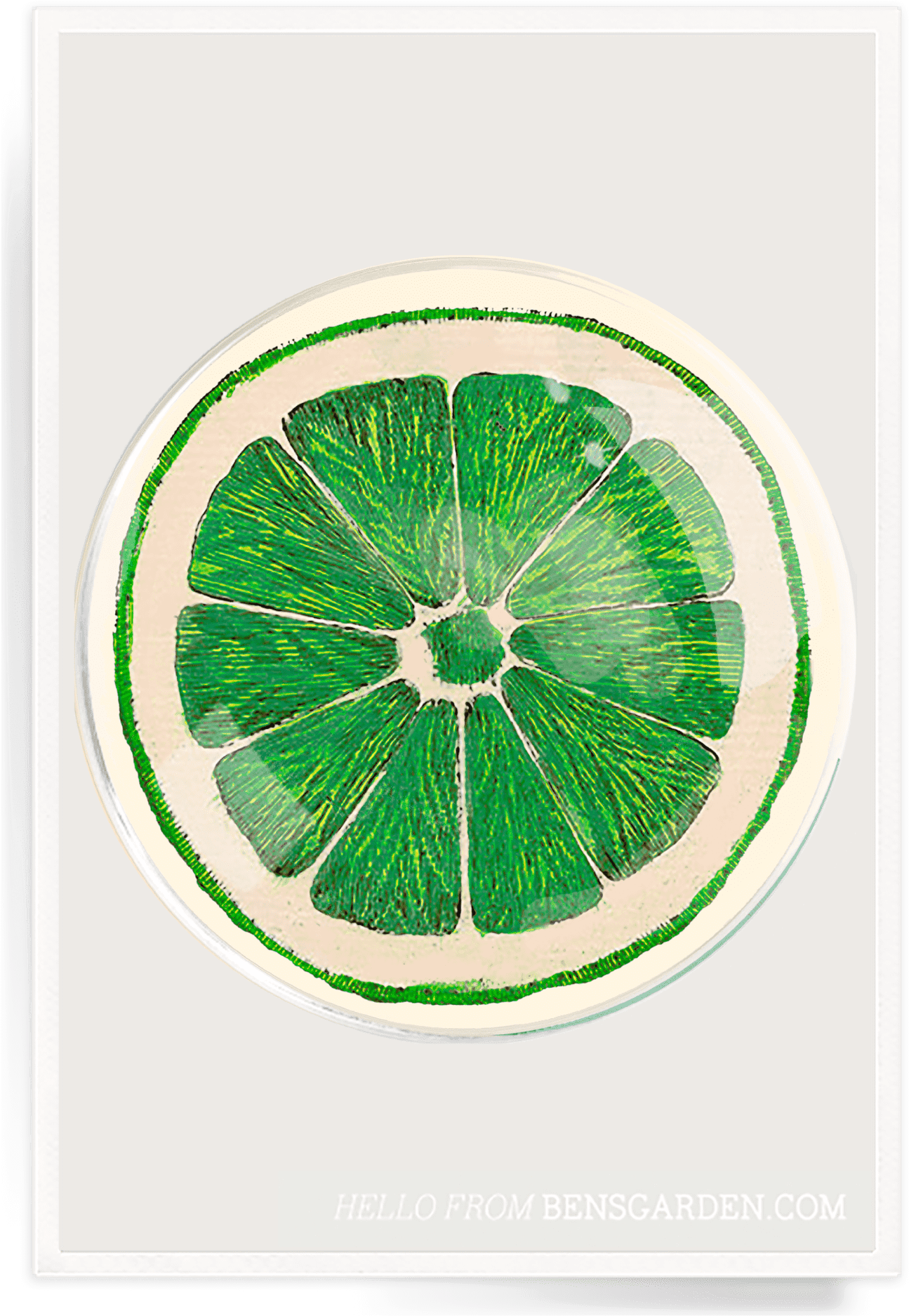 Ben's Garden - Circle (1348x1920), Png Download