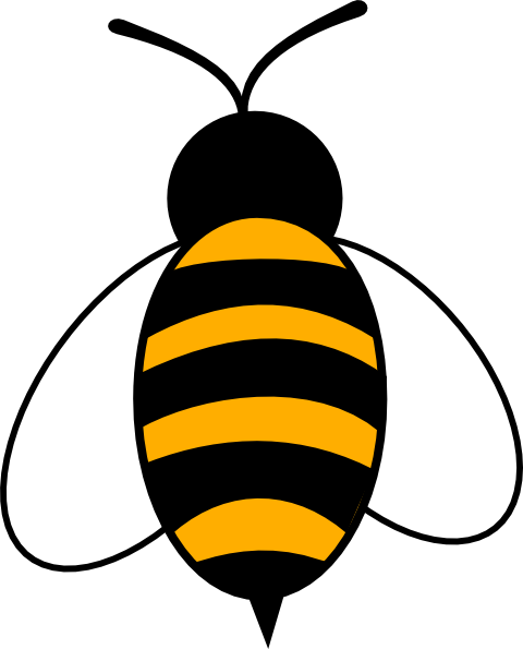 Bee Clipart Png - Bumble Bee Clip Art (480x595), Png Download