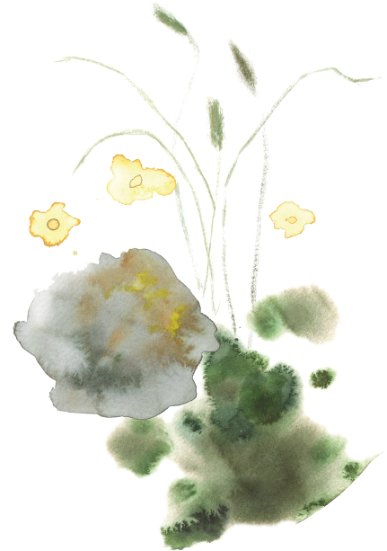 Bold Seriff And Balanced It With Maision Neue - Watercolor Paint (555x635), Png Download