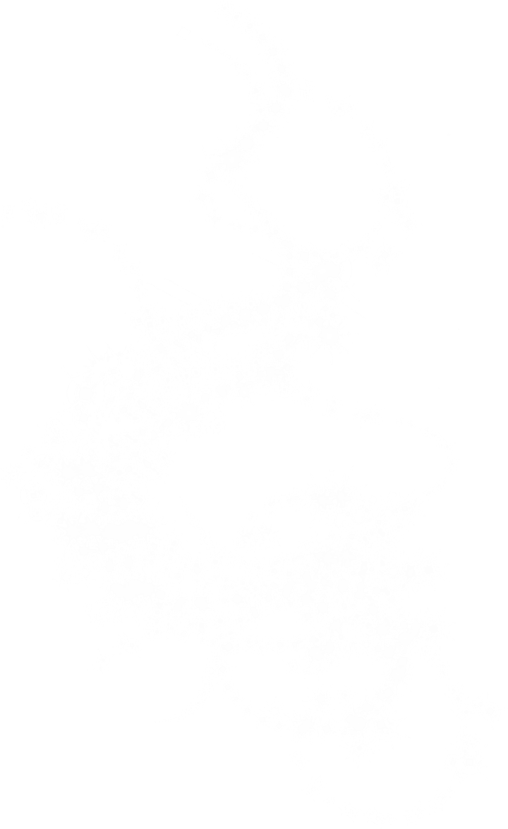 Sparkle-effect - Monochrome (886x1268), Png Download