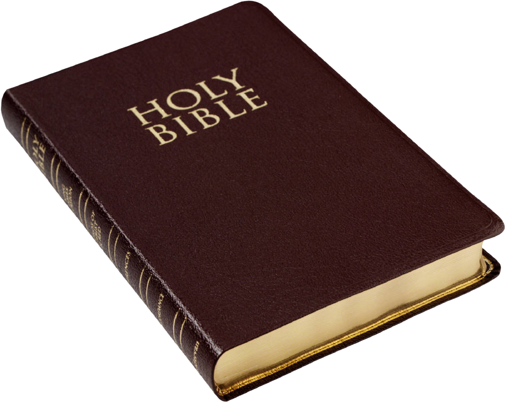 Books Png Psd Vectors And Icons For - Transparent Background Of Bible (1050x839), Png Download