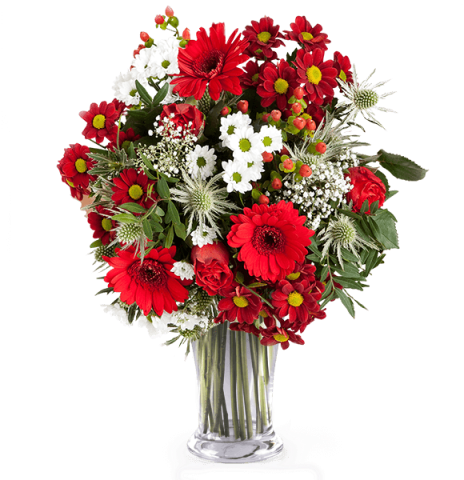 10+ Bokeh Full Bokeh Jpg Internet Png Images