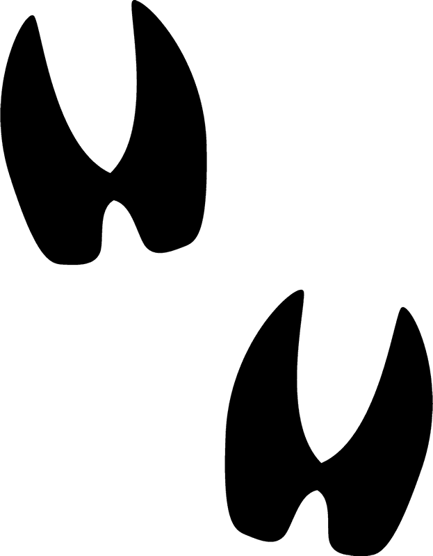 Deer Tracks Rubber Stamp - Deer Track Clip Art (623x800), Png Download