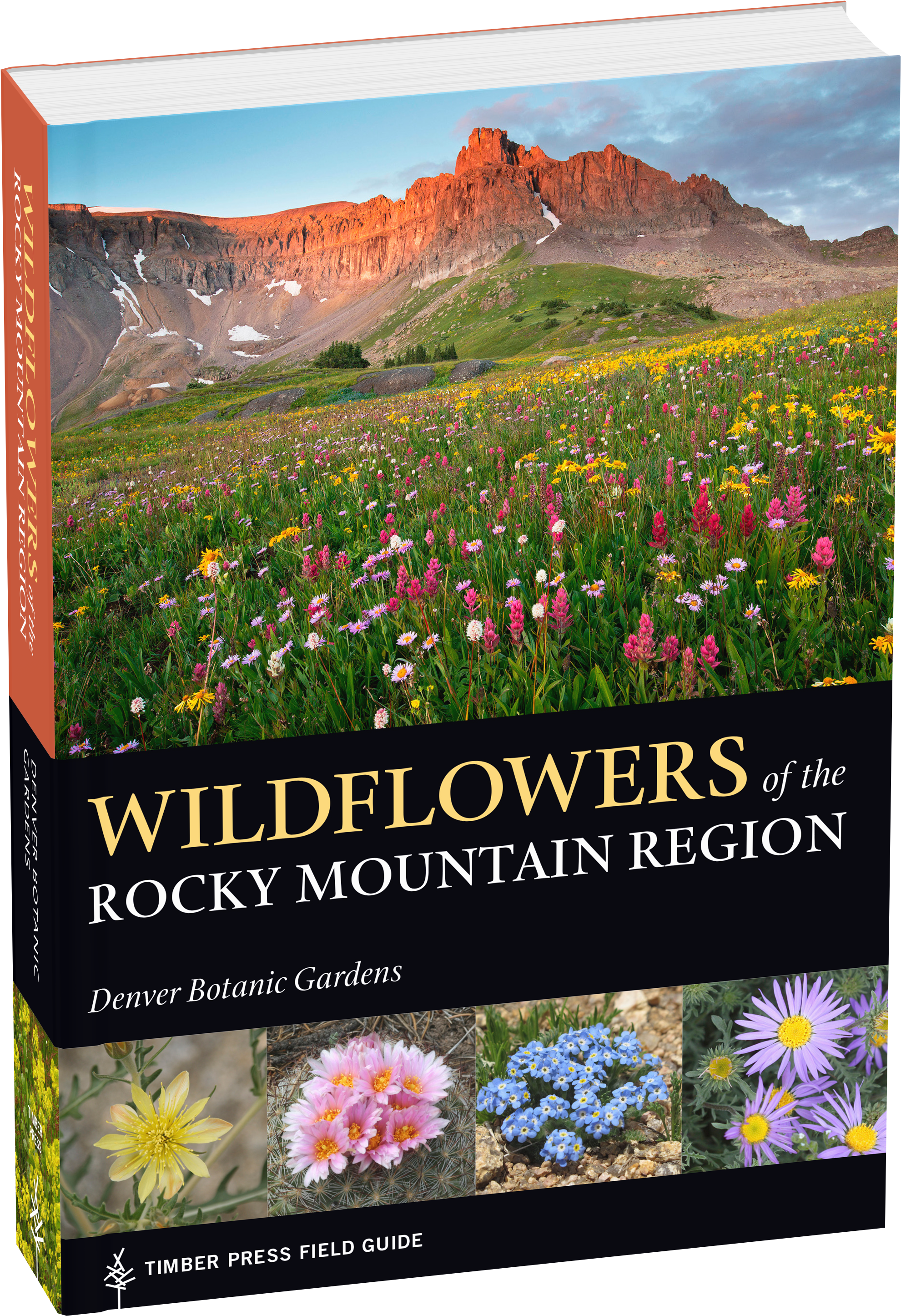 Cover - Wildflowers Of The Rocky Mountain Region (2000x2920), Png Download