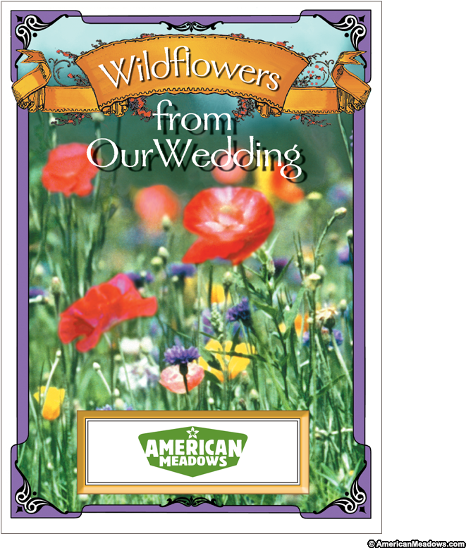 Wildflowers From Our Wedding Seed Packet - Packet Of Wildflower Seeds (800x800), Png Download