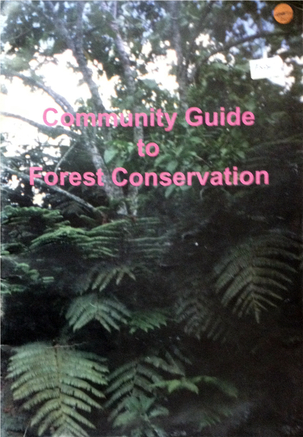 Community Guide To Forest Conservation - Ostrich Fern (1701x1701), Png Download