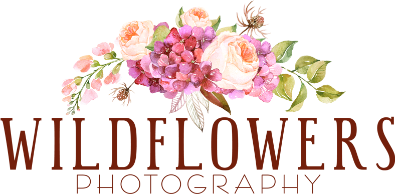Wildflowers Photography - Eleville 8x10 Though She Be But Little She Is Fierce (1000x400), Png Download