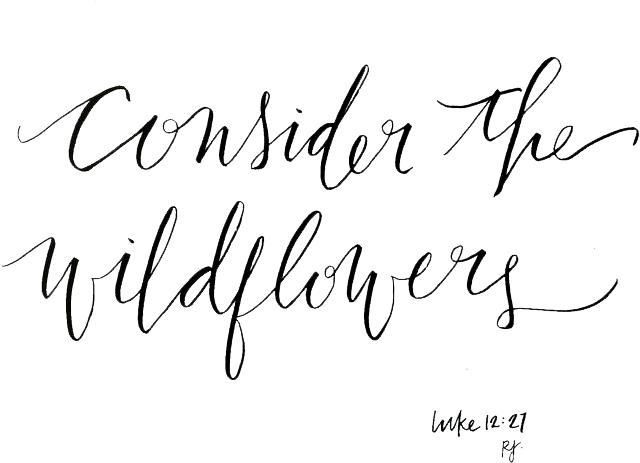 Consider - Calligraphy (750x563), Png Download