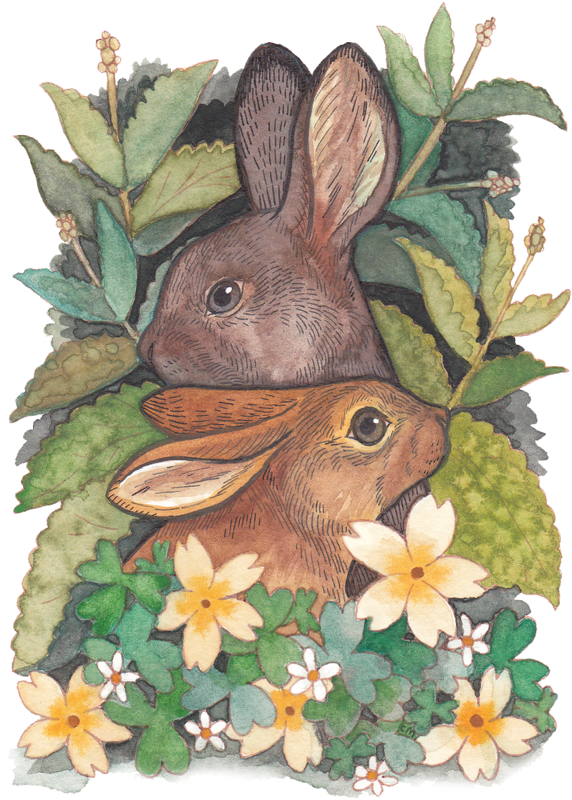 0 Replies 11 Retweets 32 Likes - 700349 (868x1200), Png Download