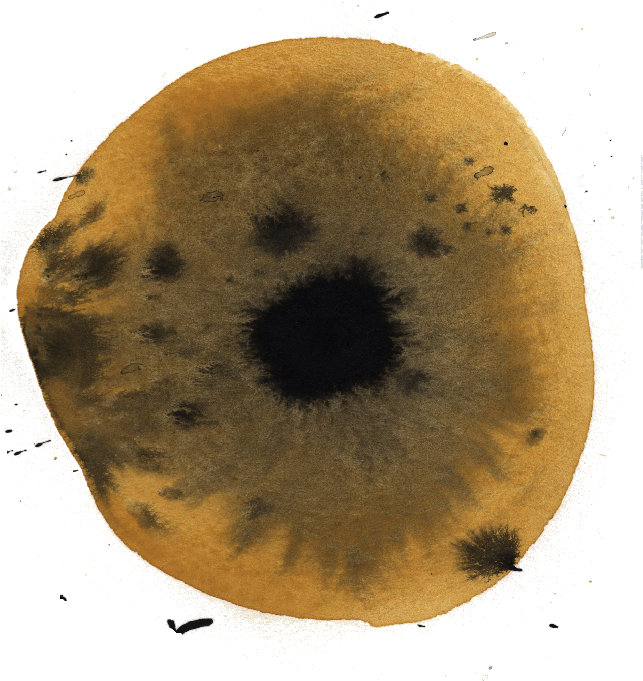 Watercolor Weirdness- All Images Are Free For Personal - Circle (1285x1357), Png Download