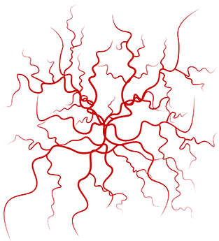 Fortunately, There Are Many Treatments That Can Detect - Veins Vector (400x350), Png Download