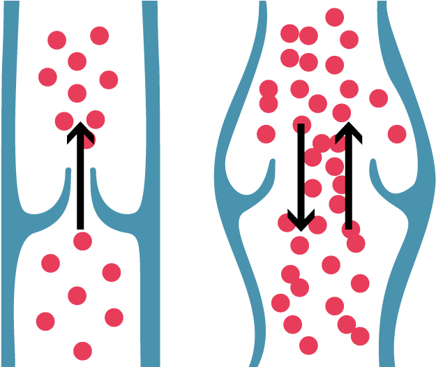 Healthy Vein Valve & Correct Blood Flow Shown On The - Valves Veins Png (700x525), Png Download