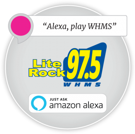 Stream On Your Amazon Echo - Amazon Echo (480x480), Png Download