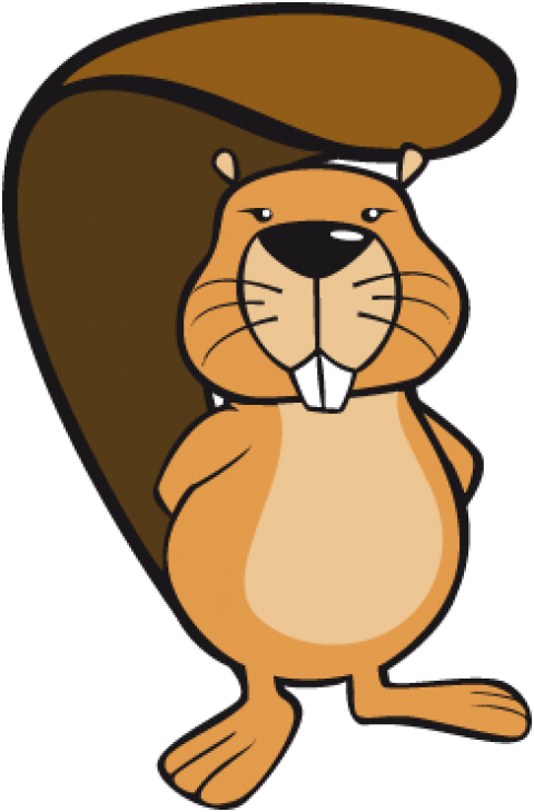 Free Png Mouse Png Images Transparent - Eurasian Beaver (480x730), Png Download