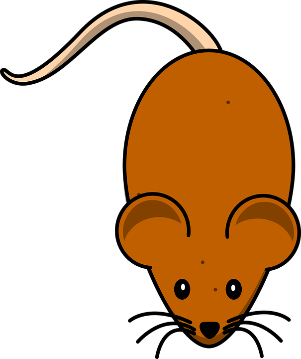 Mice Mouse Brown Clipart Mouse Pet Mouse - Cartoon Mouse (605x720), Png Download