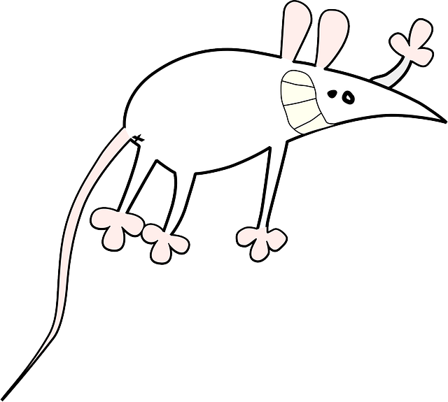 Mouse, Small, Outline, Symbol, Cartoon, Rat, Animal - Mouse Cartoon (640x575), Png Download