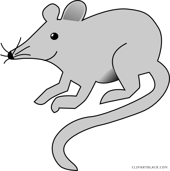 Gray Clipartblack Com Free Black White Images - Rat Clip Art (594x600), Png Download