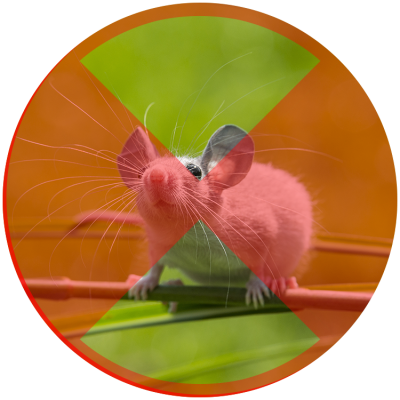 Mice Might Be Cute, But They Are Nasty Little Creatures - Computer Mouse (400x400), Png Download