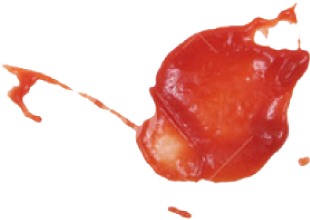 Watercolor Paint (640x480), Png Download