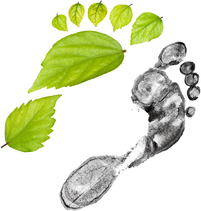 Grid Vs Green - Illustration (1000x1000), Png Download